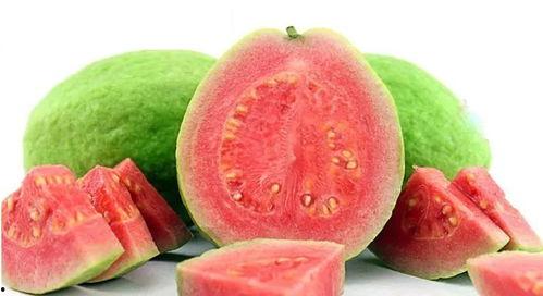 网红水果爆料视频下载大全,一网打尽时下热门水果风采